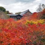 日本一古いトイレに関する雑学