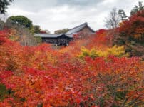 日本一古いトイレに関する雑学