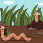 ミミズはバックできないという雑学