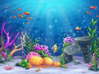 淡水魚と海水魚の水分補給に関する雑学