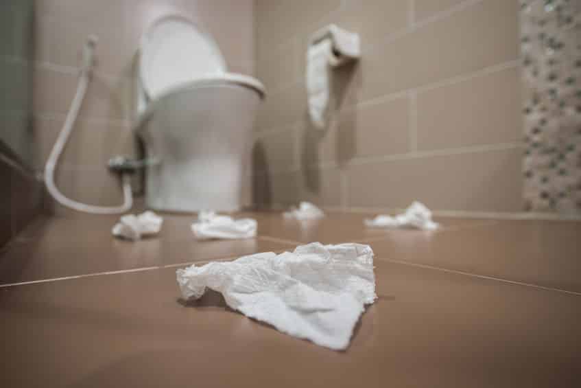 ウ○コまみれでした。ベルサイユ宮殿のトイレ事情がヒドすぎる。というトリビア