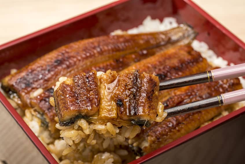 うな重の「並」と「特上」の違いに関する雑学
