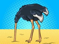 ダチョウは敵が近づいてきたとき、土に頭を突っ込む？という雑学