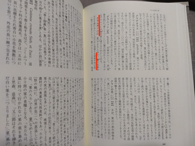 宮沢賢治語彙辞典の「クラムボン」解説ページ