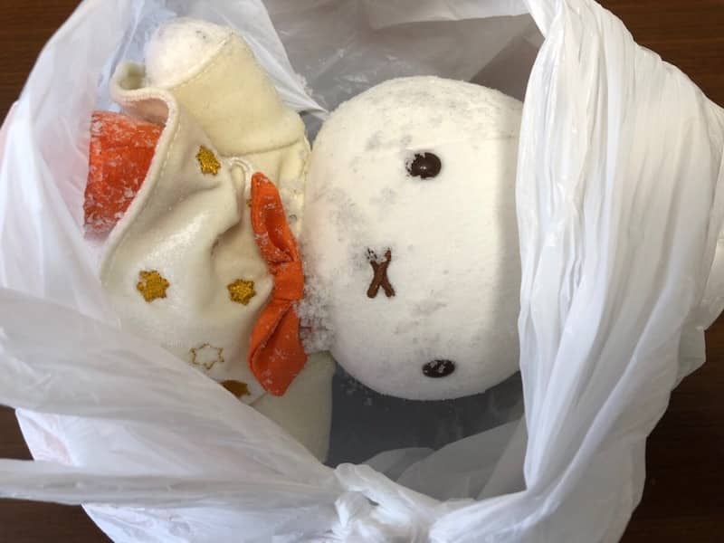 洗濯せずにぬいぐるみの汚れを落とす実験5