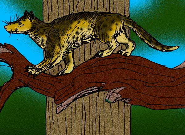 猫や犬などの先祖は「ミアキス」という雑学