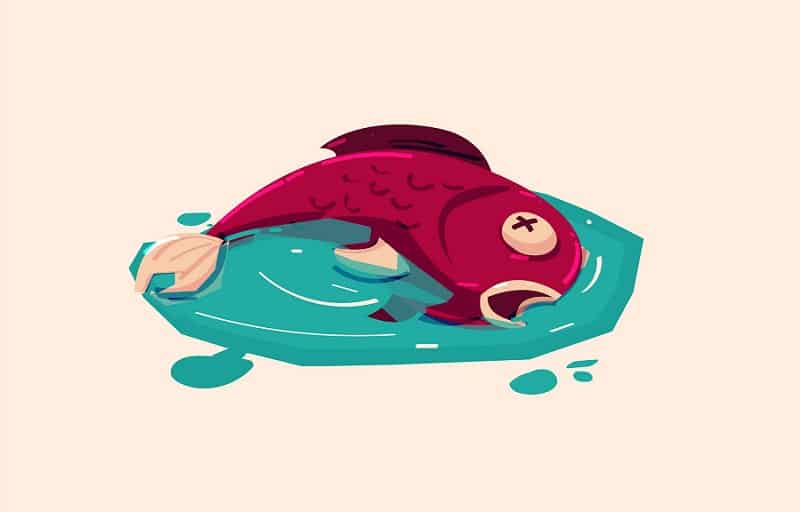 水中の酸素量が少ない場合は魚が溺死するというトリビア