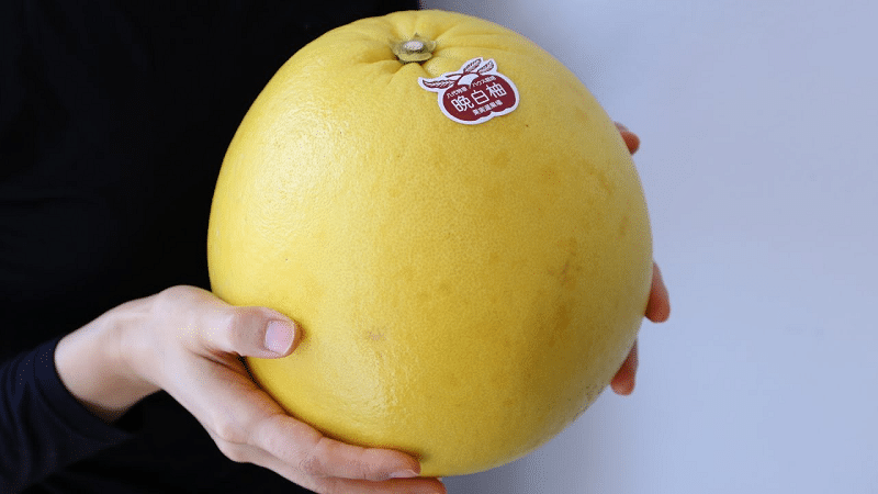 晩白柚は皮まで食べられる!?というトリビア