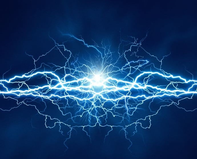 電気ウナギ→放電する。電気クラゲ→放電しない。なんで名前に"電気"?についての雑学まとめ