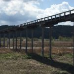 世界一長い木造歩道橋は静岡県にある蓬莱橋という雑学