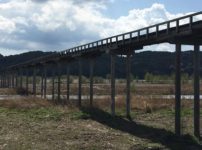 世界一長い木造歩道橋は静岡県にある蓬莱橋という雑学