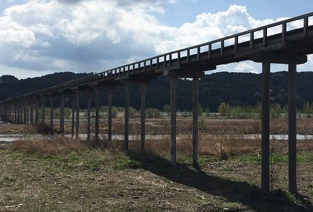 世界一長い木造歩道橋は静岡県にある蓬莱橋という雑学