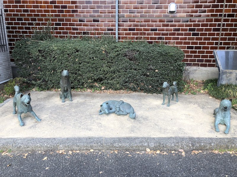 「生類憐れみの令」の影響で、中野から高円寺には犬屋敷があったという雑学