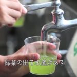 京都と静岡には水道からお茶が出る小学校があるという雑学
