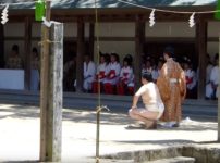 愛媛県大山祇神社では「一人相撲祭り」という、目に見えない精霊と相撲をとる祭りがあるという雑学