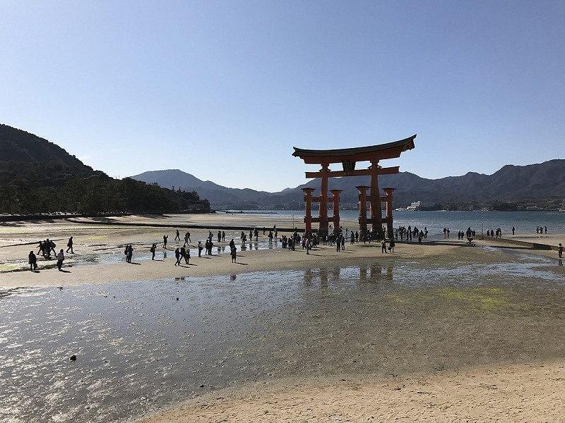 厳島神社の鳥居は干潮のときに歩いて近づけるというトリビア