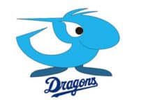 中日ドラゴンズの名前の由来に関する雑学
