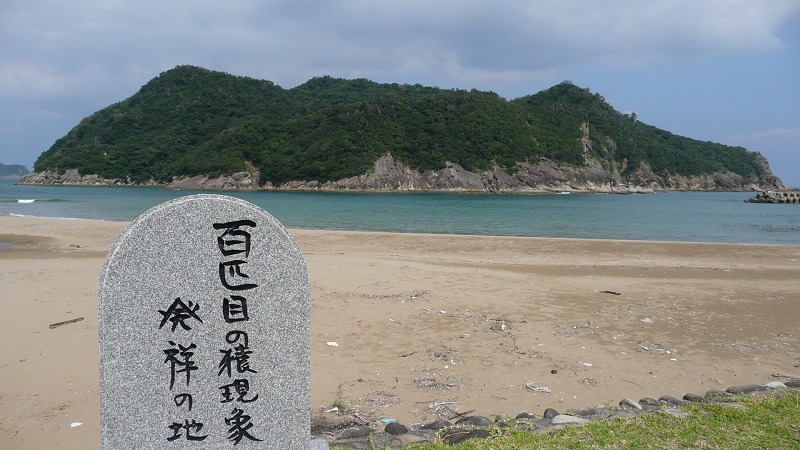 「百匹目の猿現象」発祥の地についてのトリビア