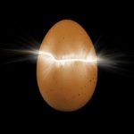 1日に3個の卵を食べるとコレステロールの性能がアップするかもという雑学