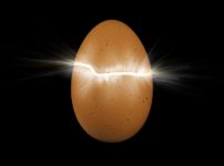 1日に3個の卵を食べるとコレステロールの性能がアップするかもという雑学
