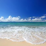 海の潮のにおいはなんで臭い？に関する雑学