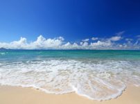 海の潮のにおいはなんで臭い？に関する雑学