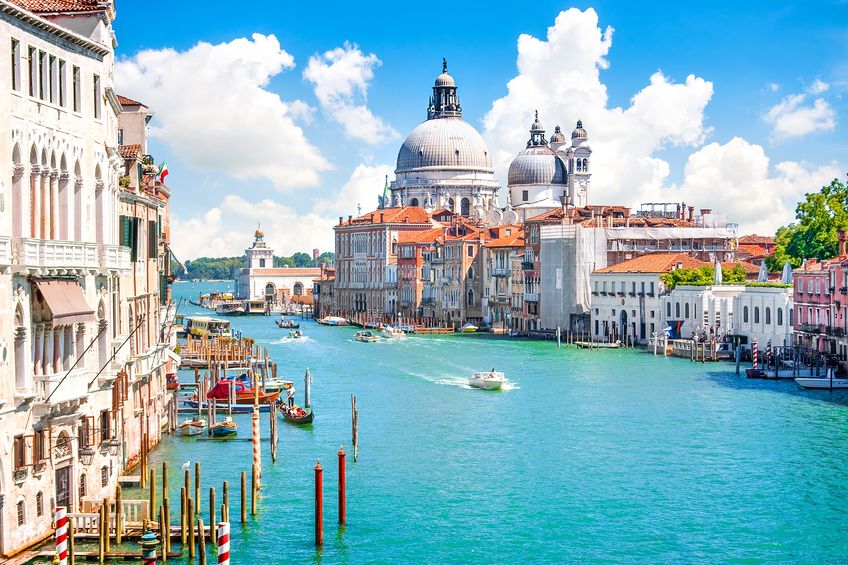 イタリア・ベネチアでは「ハトに餌をやってはいけない」という法律があるという雑学