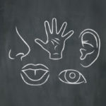 人間の五感の中で年をとっても衰えないのは何？に関する雑学