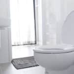 トイレのふたの最大のメリットは節電？に関する雑学