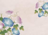 江戸時代には黒や黄色のアサガオもあったという雑学