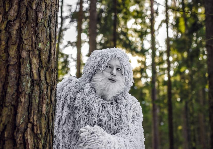 カナダでは雪男を殺してはいけないというトリビアの解説