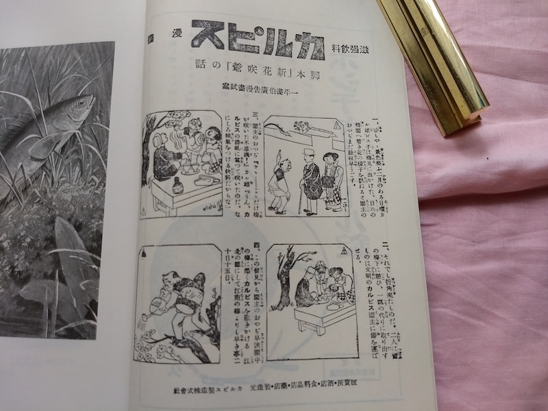 大正時代のカルピスの広告。梅が咲いた