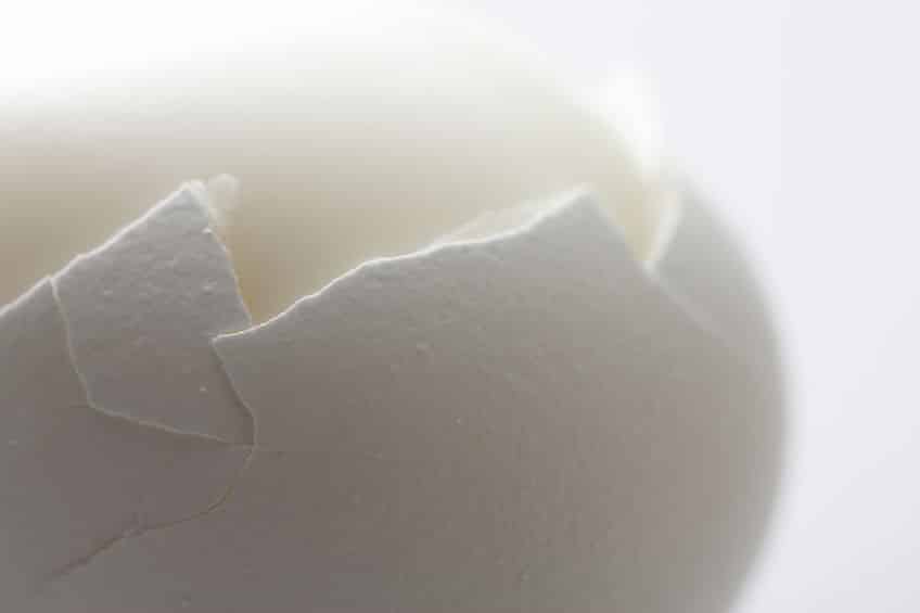 卵を回す・照明にかざす・卵の殻を注視するの3つというトリビア