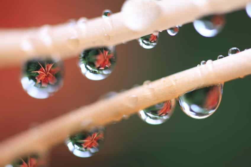 夕立の雨は通常の雨粒の5倍ほどの大きさで落ちてくるについてのトリビア