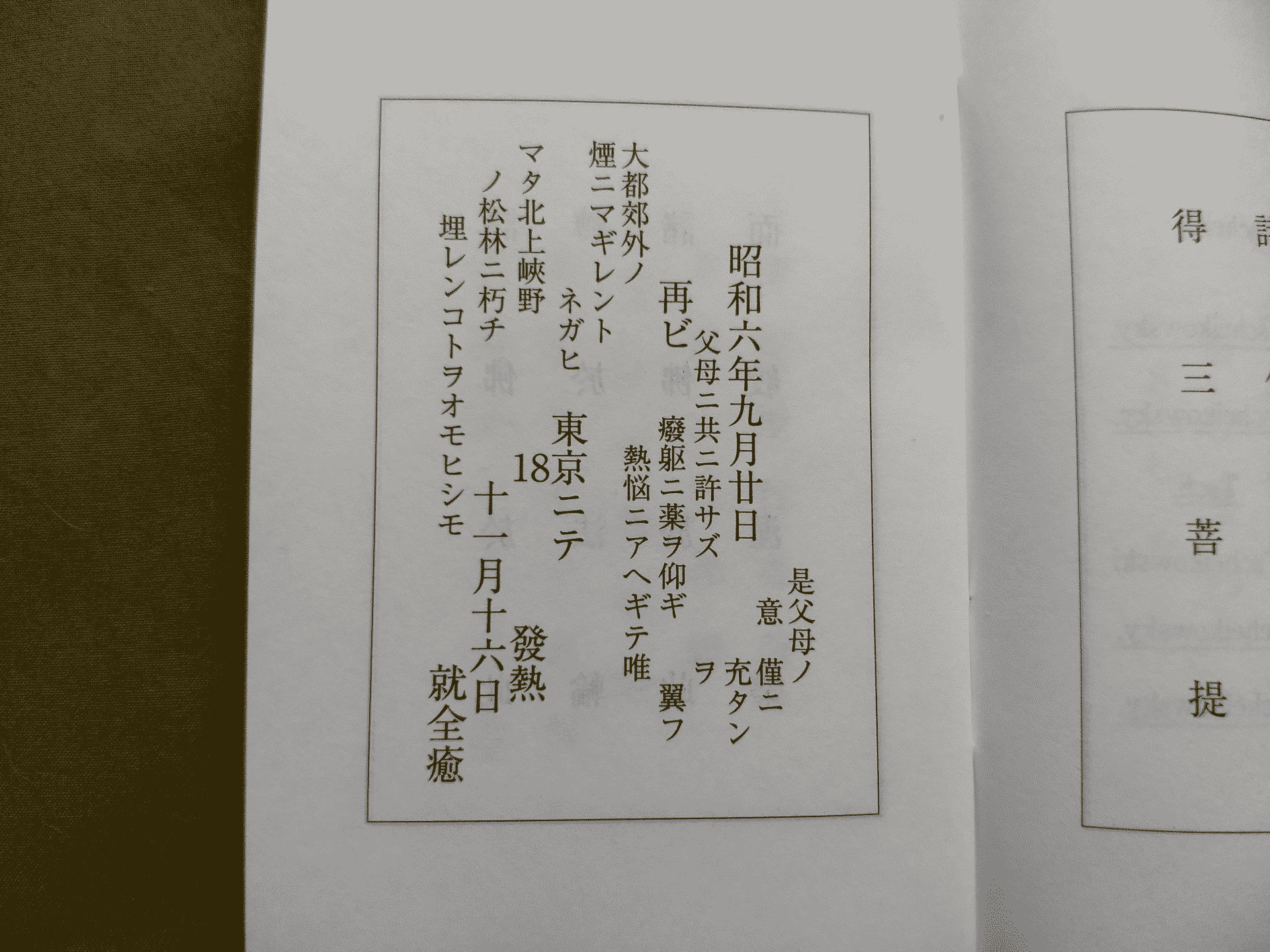 「雨ニモマケズ手帳」の「再ビ東京ニテ発熱」の解説ページ
