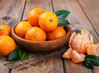 日本最古のミカン「樹齢八百年みかん」は現代でも食べられるという雑学