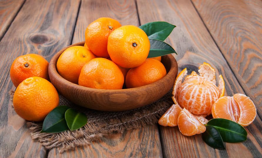 日本最古のミカン「樹齢八百年みかん」は現代でも食べられるという雑学