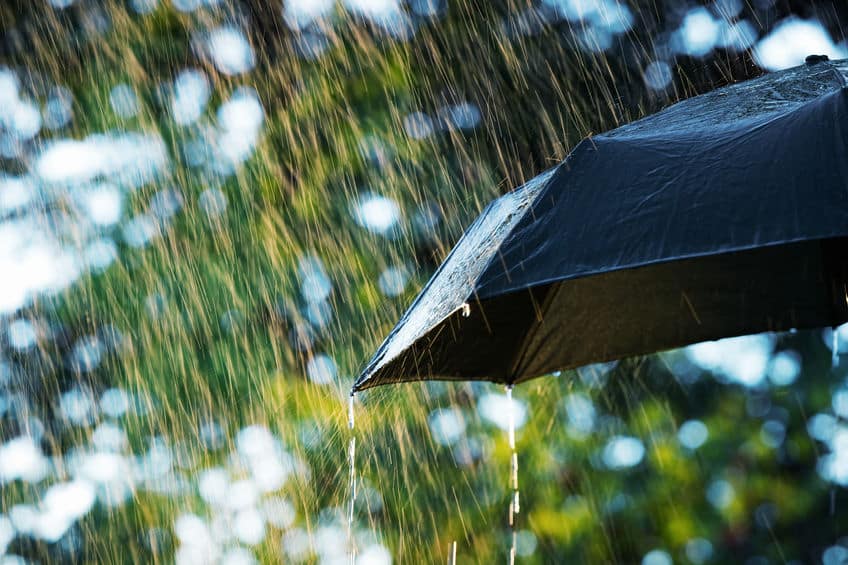 夕立の雨が大粒である理由に関する雑学