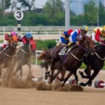 変わった名前の競走馬たちに関する雑学