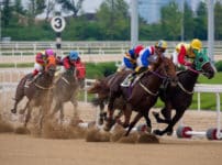 変わった名前の競走馬たちに関する雑学