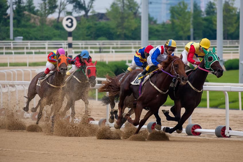 変わった名前の競走馬たちに関する雑学