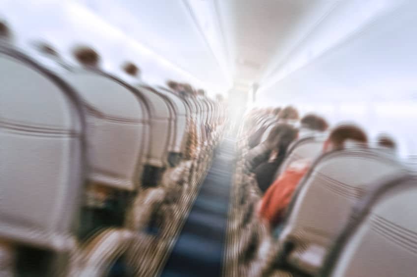 上空1万mから落下して生き残ったヴェスナ・ヴロヴィッチという女性についてのトリビア