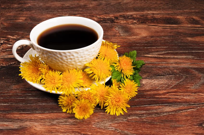 タンポポからコーヒーを作ることができるというトリビア