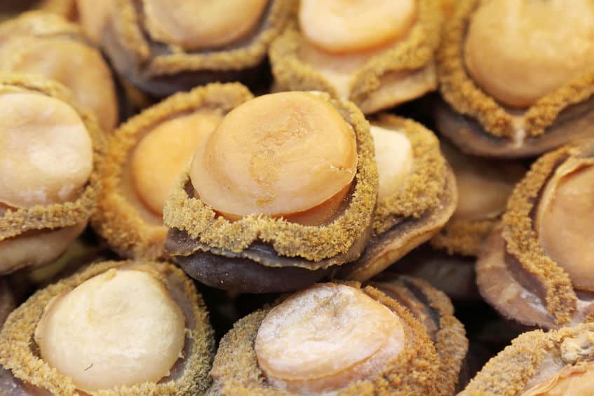 世界で2番目に硬い食べ物についてのトリビア
