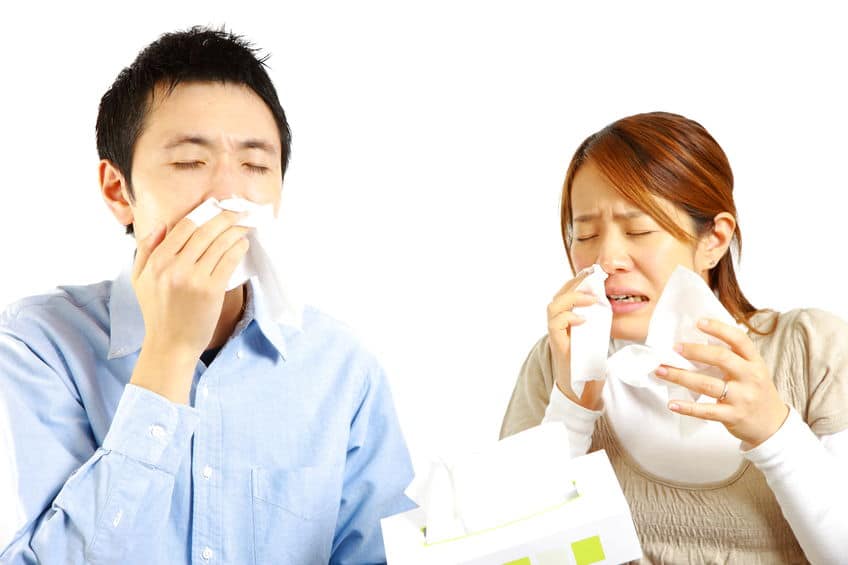 鼻水をすぐ止めるには?というトリビア