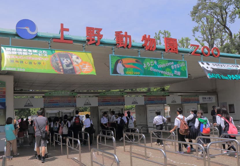 日本でも「アイアイ」が見られる動物園がある!というトリビア
