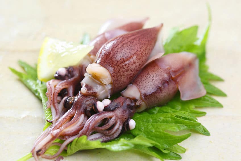天然記念物すれすれ?ホタルイカが食べられる理由というトリビア