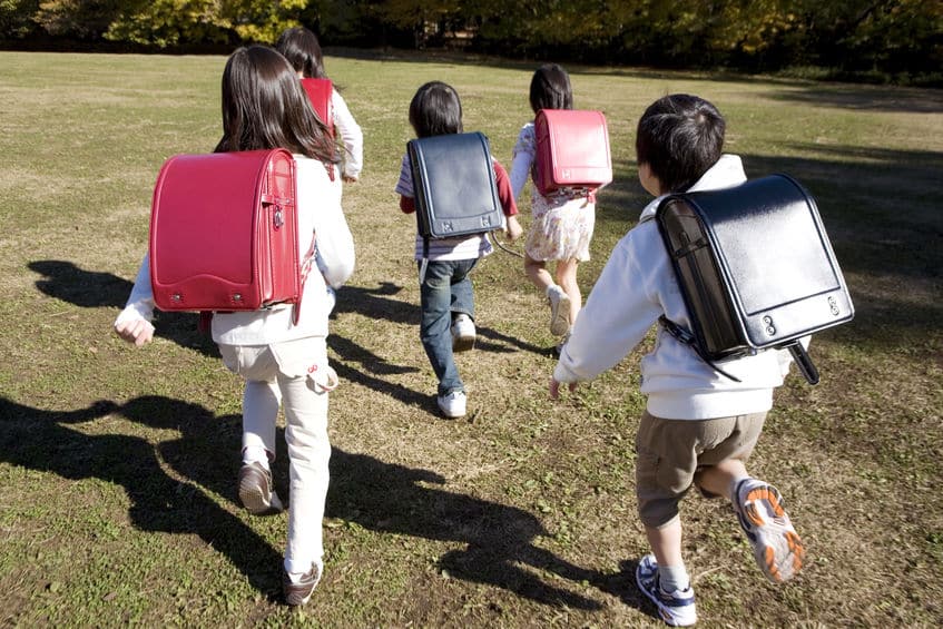 なぜそんなに子どもを作ったのか?その目的についてのトリビア
