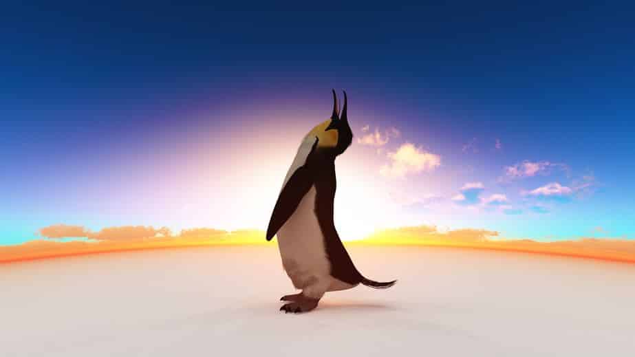 コウテイペンギンは、オスのほうが2ヶ月間絶食して卵をあたため続けるというトリビア