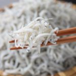「しらす」はイワシの子ども？ちりめんじゃことの違いに関する雑学